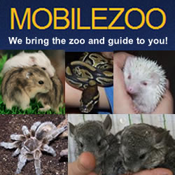 the-animals-of-mobilezoo the-animals-of-mobilezoo
